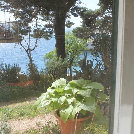 Apartman Tafra Omiš Eksteriør billede