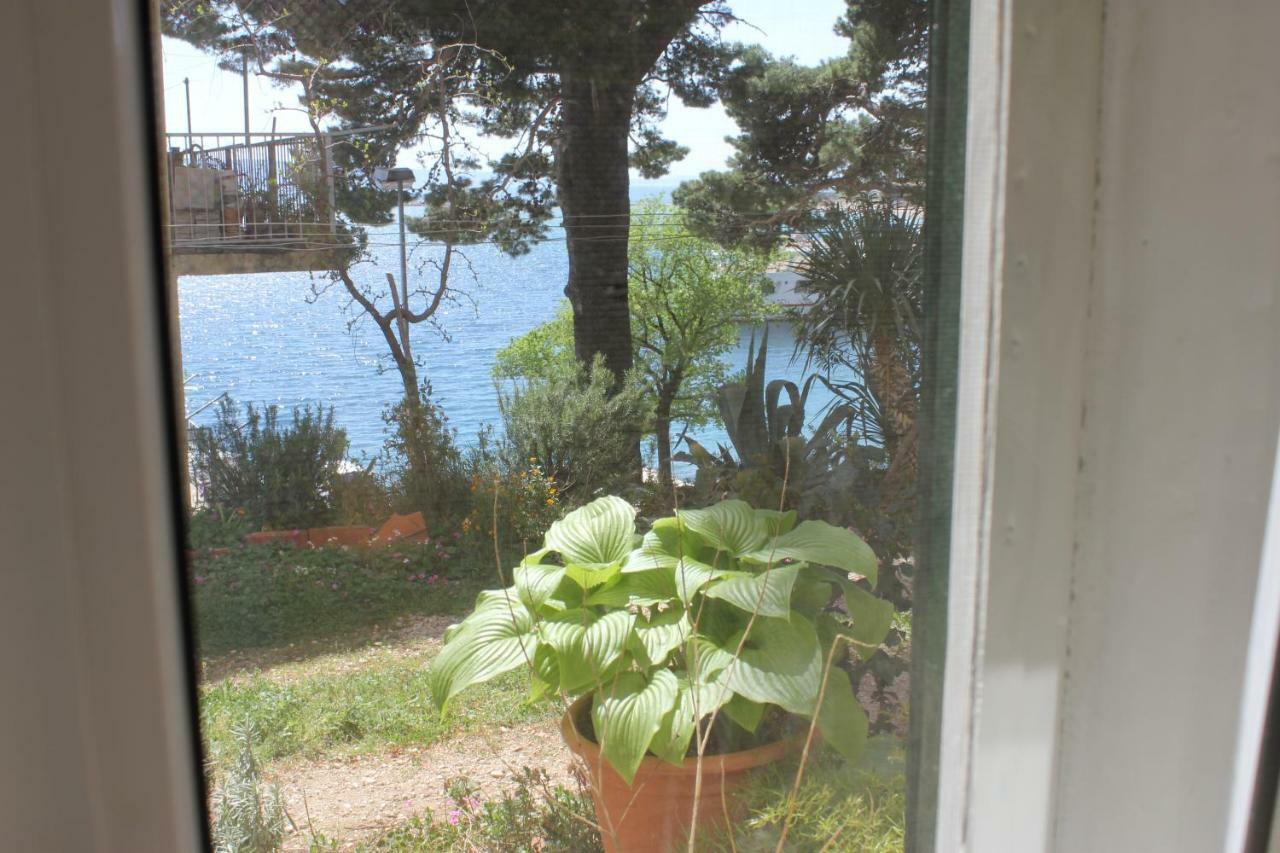 Apartman Tafra Omiš Eksteriør billede